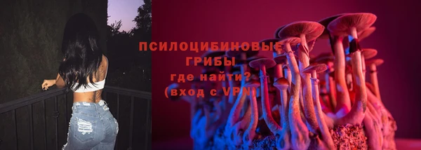 шишки Алзамай