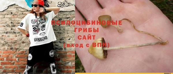 гашик Абаза